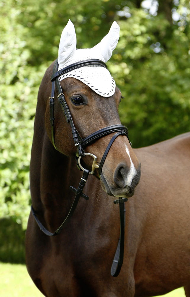 Nauszniki dla konia Classic, biały, roz. Full, Covalliero - Cavalo